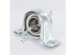 SAPP206