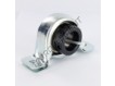 SAPP207