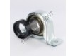 SAPP207