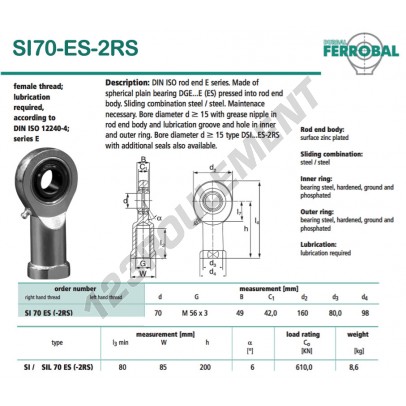 SI70-ES-2RS-DURBAL