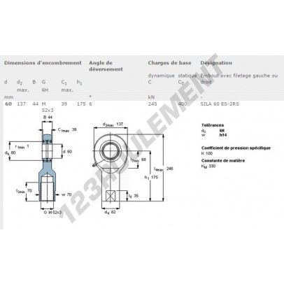 SILA60-ES-2RS-SKF