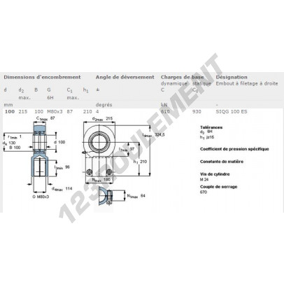 SIQG100-ES-SKF