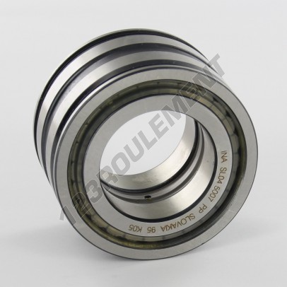 SL045007-PP-INA