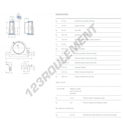 SY504-M-SKF