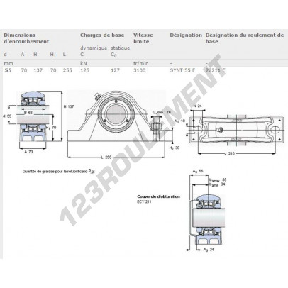 SYNT55F-SKF