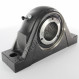 Palier - 2 fixations - SYNT60-L-SKF