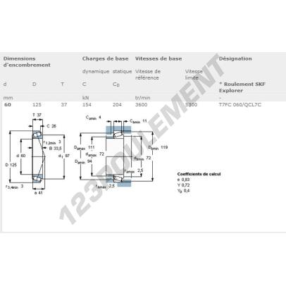T7FC060-CL7C-SKF