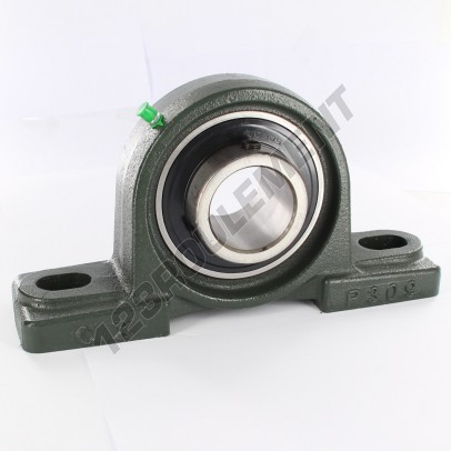 UCP309