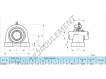 UCPA204-INOX