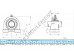 UCPA208-INOX