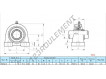 UCPA210-INOX
