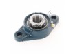 UKFL206-H2306