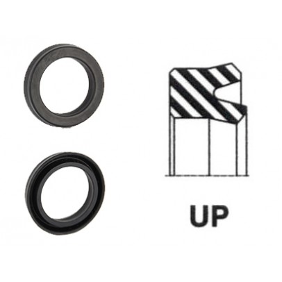 UP-10X17X4.5-NBR90