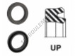 UP-29X38X6-NBR90