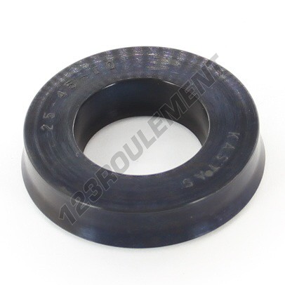US-25X45X10-NBR90