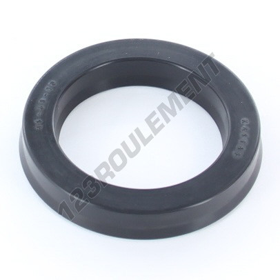 US-45X63X10-11-NBR90