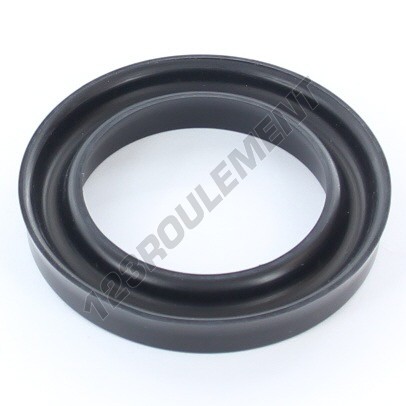 US-48X68X10-11-NBR90