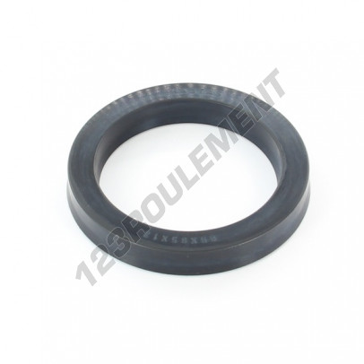 US-65X85X12-13-NBR90