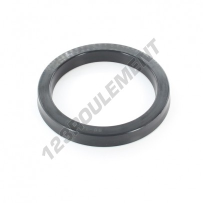 US-80X100X12-13-NBR90