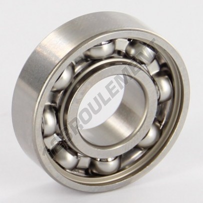 W6001-SKF