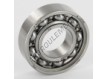 W6002-SKF