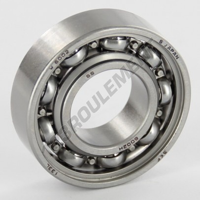 W6002-SKF