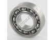 W6002-SKF