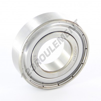W6004-2Z-SKF
