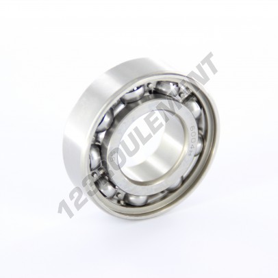W6004-SKF