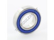W6005-2RS1-VP311-SKF