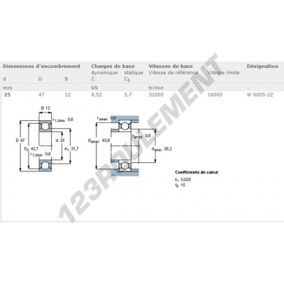 W6005-2Z-SKF