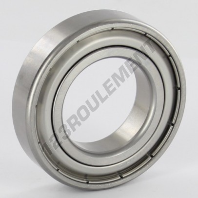 W6006-2Z-SKF
