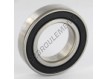 W6007-2RS1-SKF