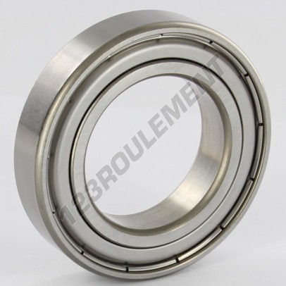 W6008-2Z-SKF