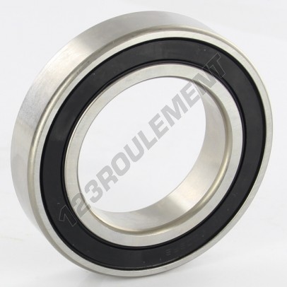 W6009-2RS1-SKF