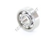 W608-SKF