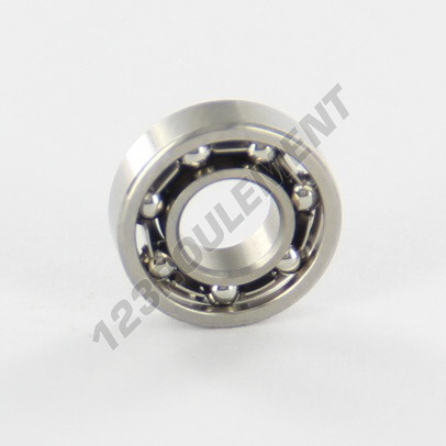 W618-4-INOX-SKF
