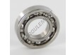 W618-8-SKF