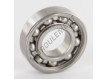 W61900-SKF