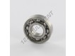 W6202-SKF