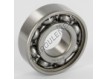 W6203-SKF