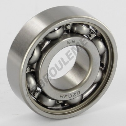 W6203-SKF