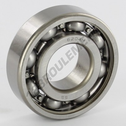 W6204-SKF