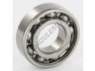 W6205-SKF