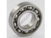 W6206-SKF