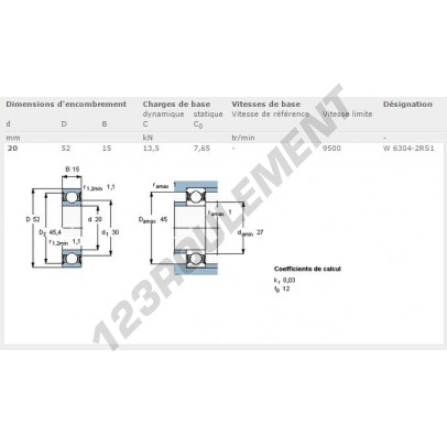 W6304-2RS1-SKF