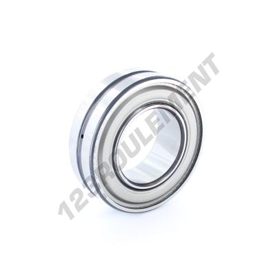 WS22212-E1-XL-2RSR-FAG